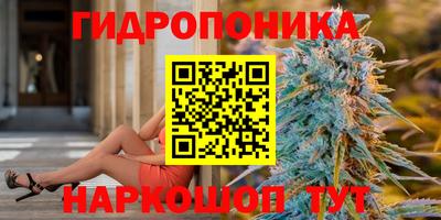 гидропоника Лесосибирск