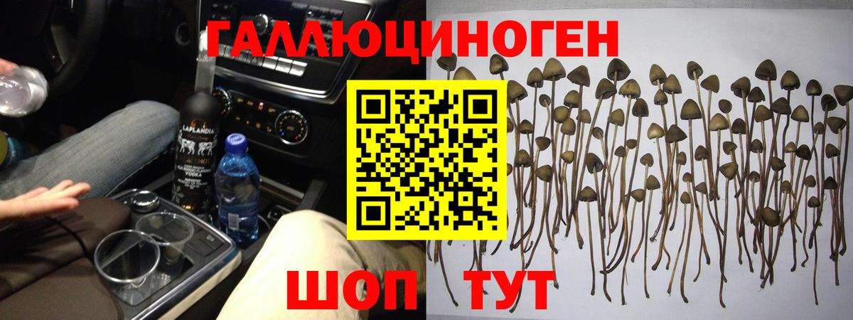 Галлюциногенные грибы прущие грибы  Вход с VPN  Чебаркуль 